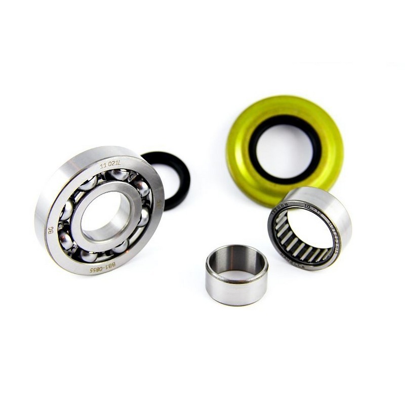 KIT REVISIONE ALBERO MOTORE...