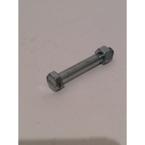 Perno ammortizzatore...