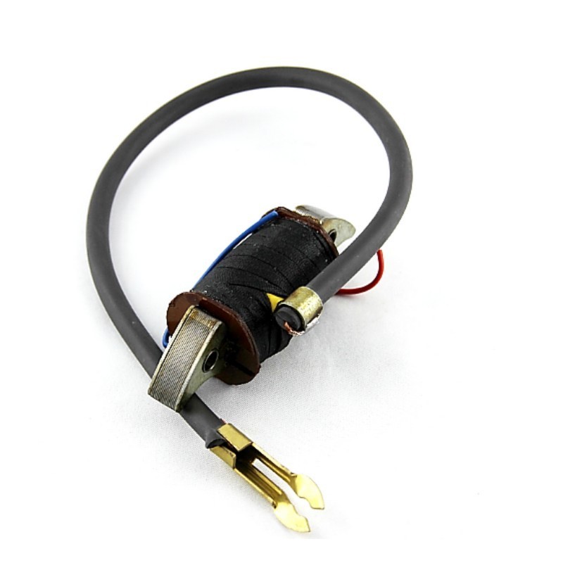 Bobina interna accensione...