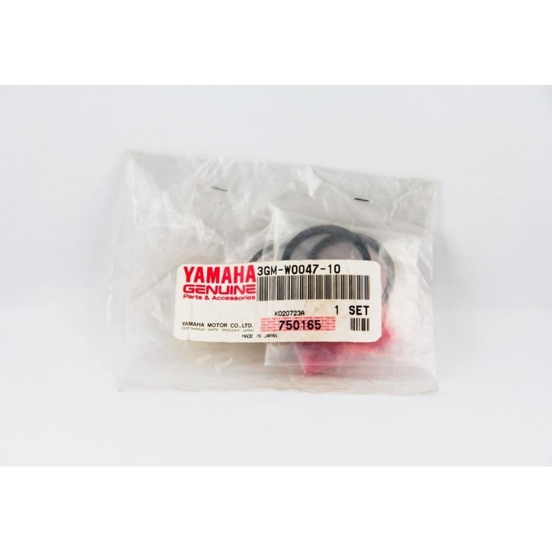 Kit revisione pinza freno...