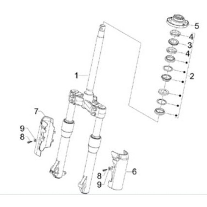 Forcella anteriore completa...