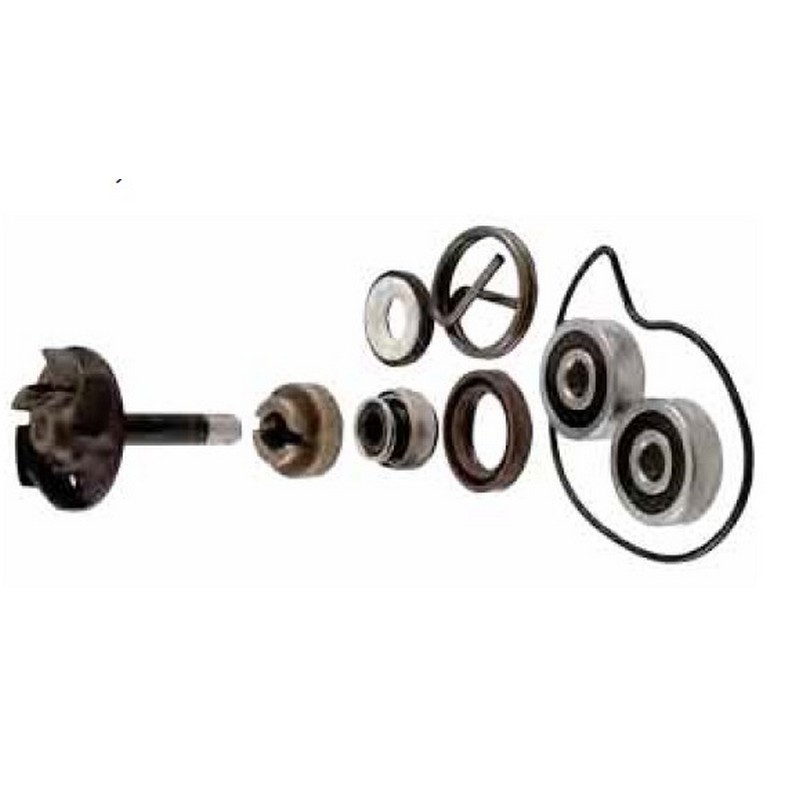 Kit revisione pompa acqua...