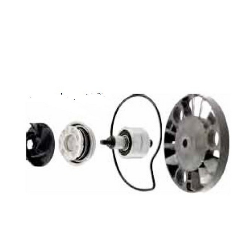 Kit revisione pompa acqua...