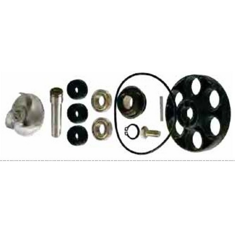 Kit revisione pompa acqua...