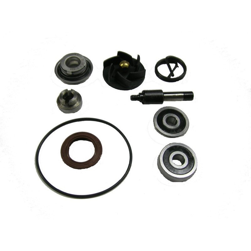 kit revisione pompa...