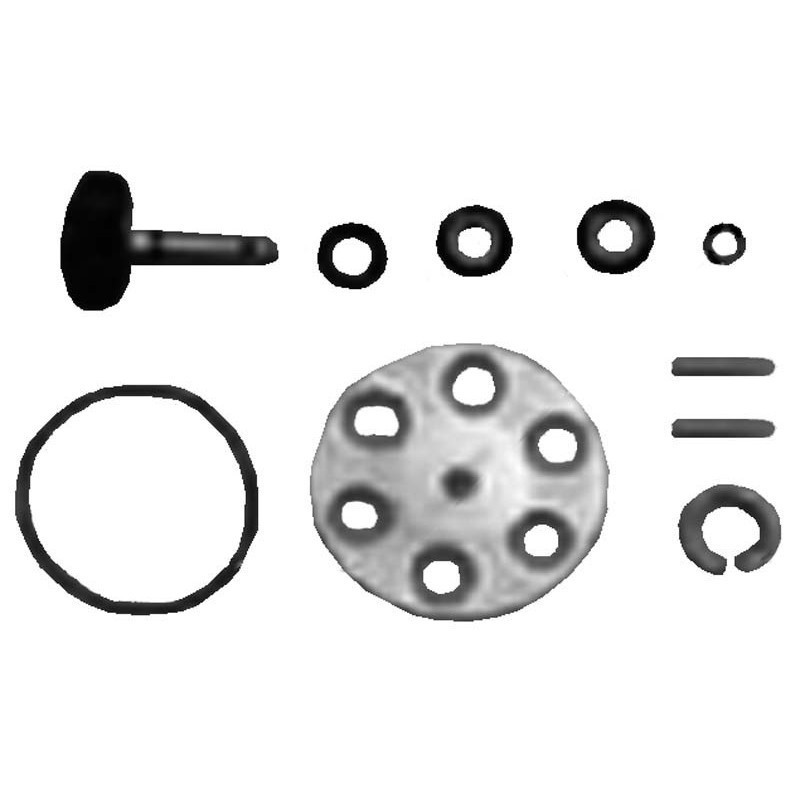 Kit revisione pompa acqua...