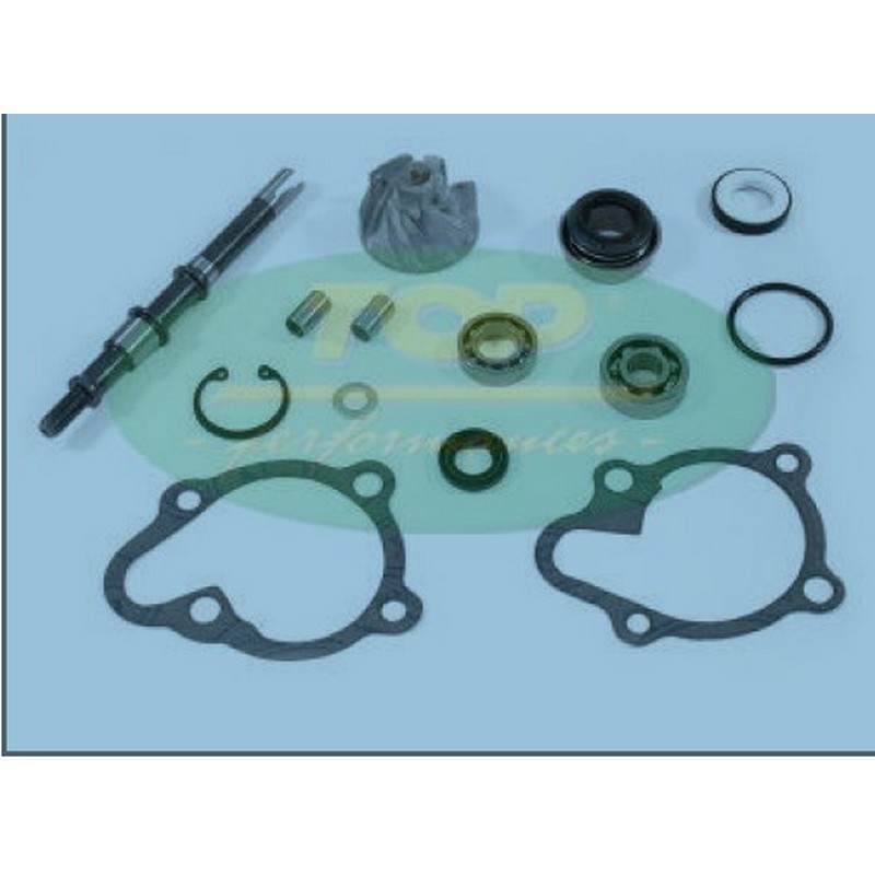 Kit revisione pompa...