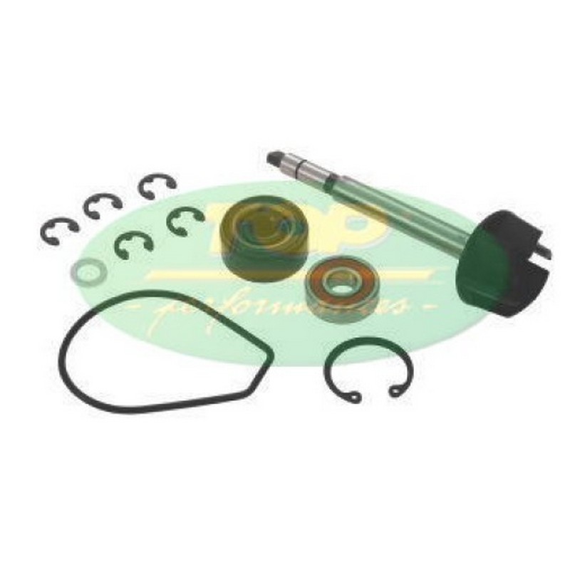 Kit revisione pompa...