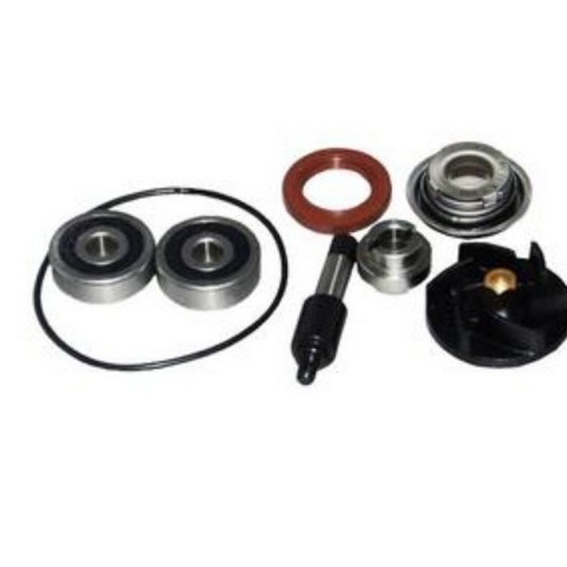 Kit revisione pompa acqua...