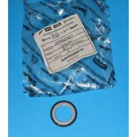 Guarnizione termostato...