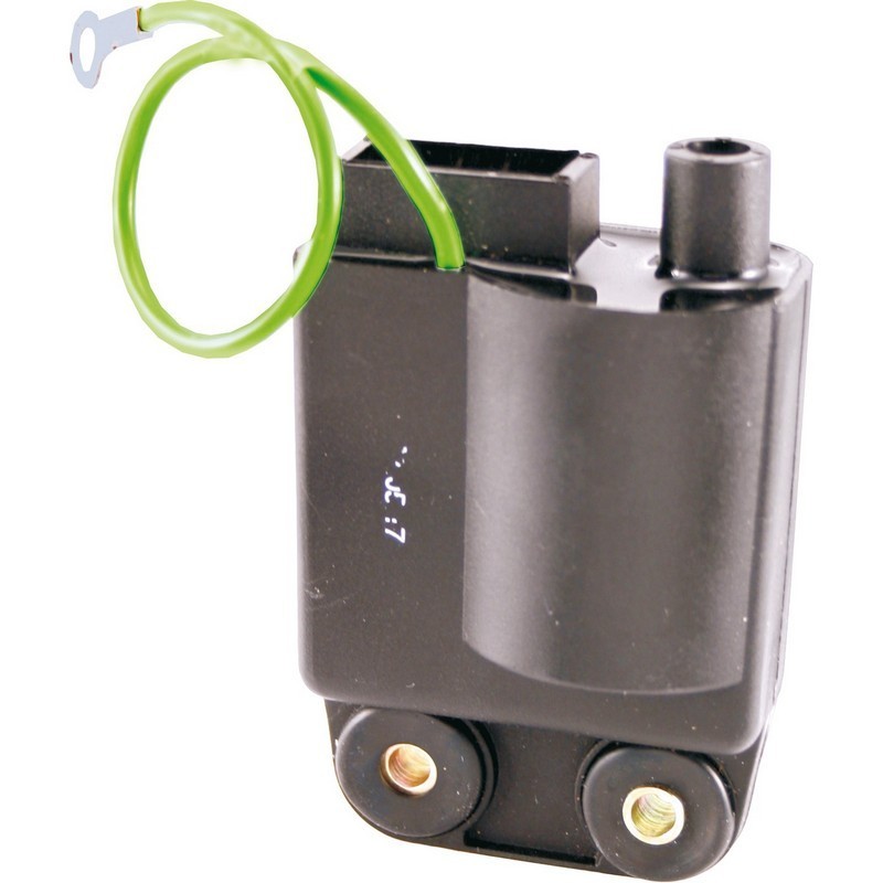 Centralina elettronica...