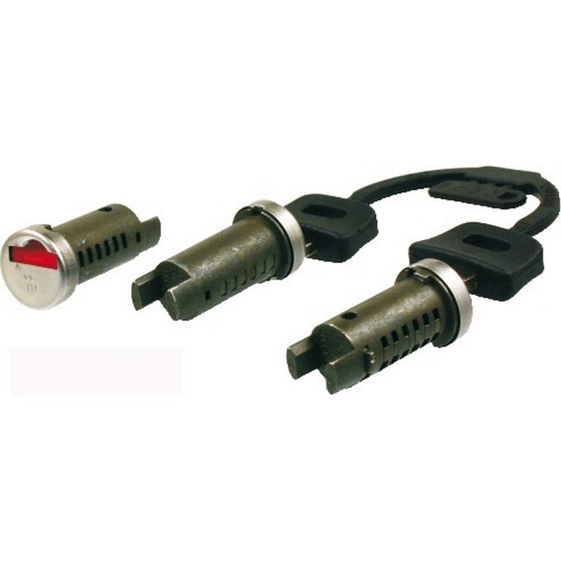 Serie cilindretti sterzo...