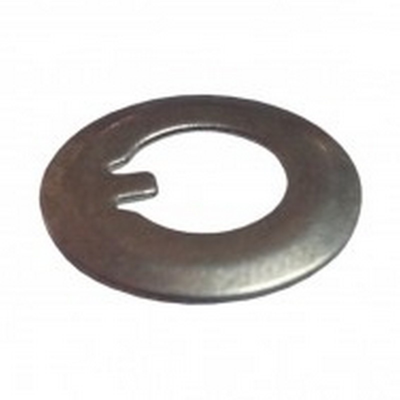 Rondella Pignone Primario...