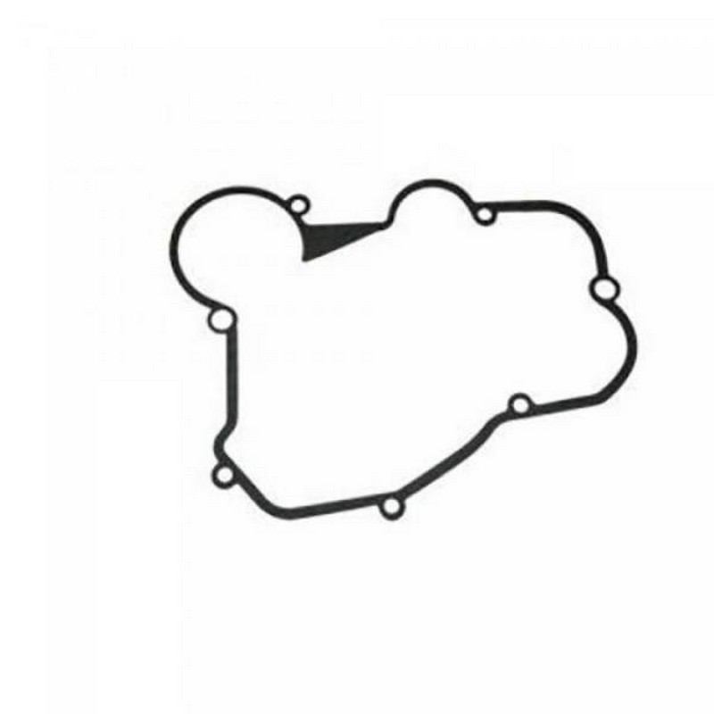 Guarnizione coperchio...