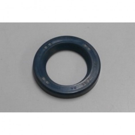 Anello paraolio 25X17X4...