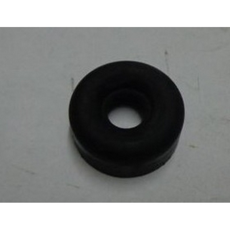 Guarnizione protezione...