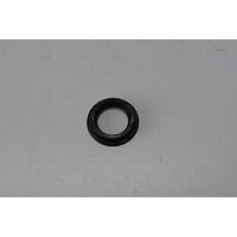 Anello parapolvere sul...