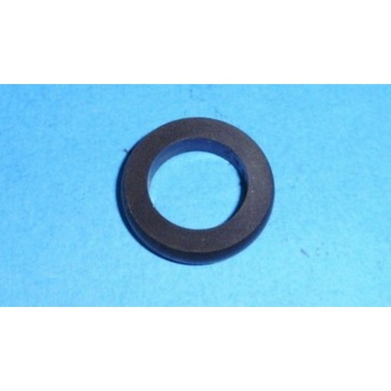 Anello di tenuta...