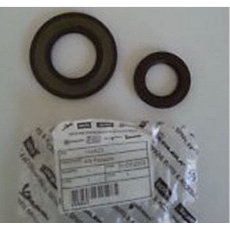 Kit paraoli motore Ape TM