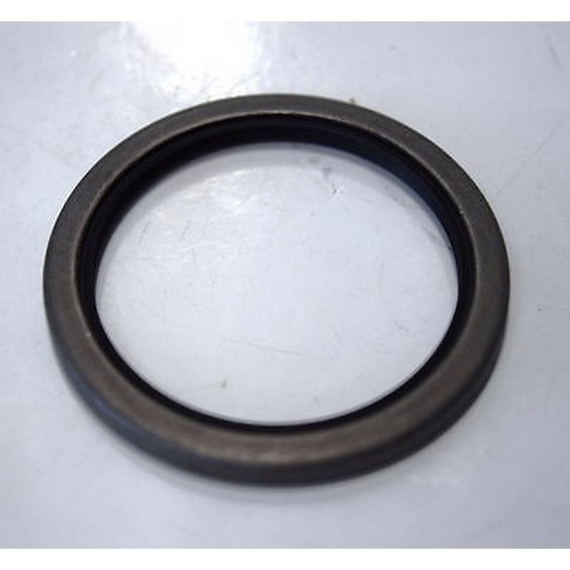 Paraolio ruota posteriore Ape