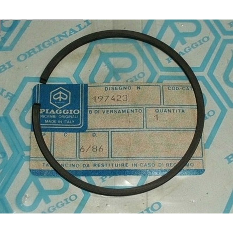 Fascia elastica conica...