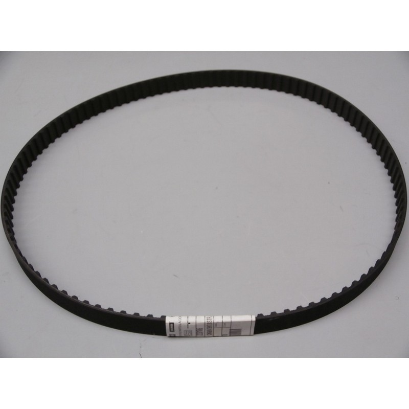 Cinghia distribuzione...