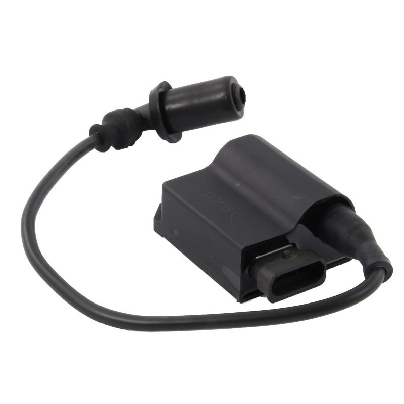 Piaggio Centalina...