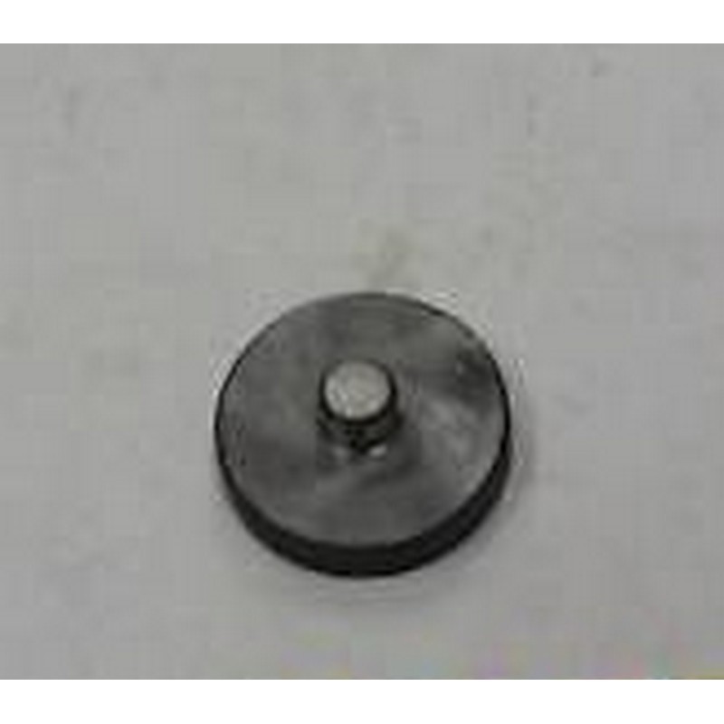 Piattello pompa iniezione...