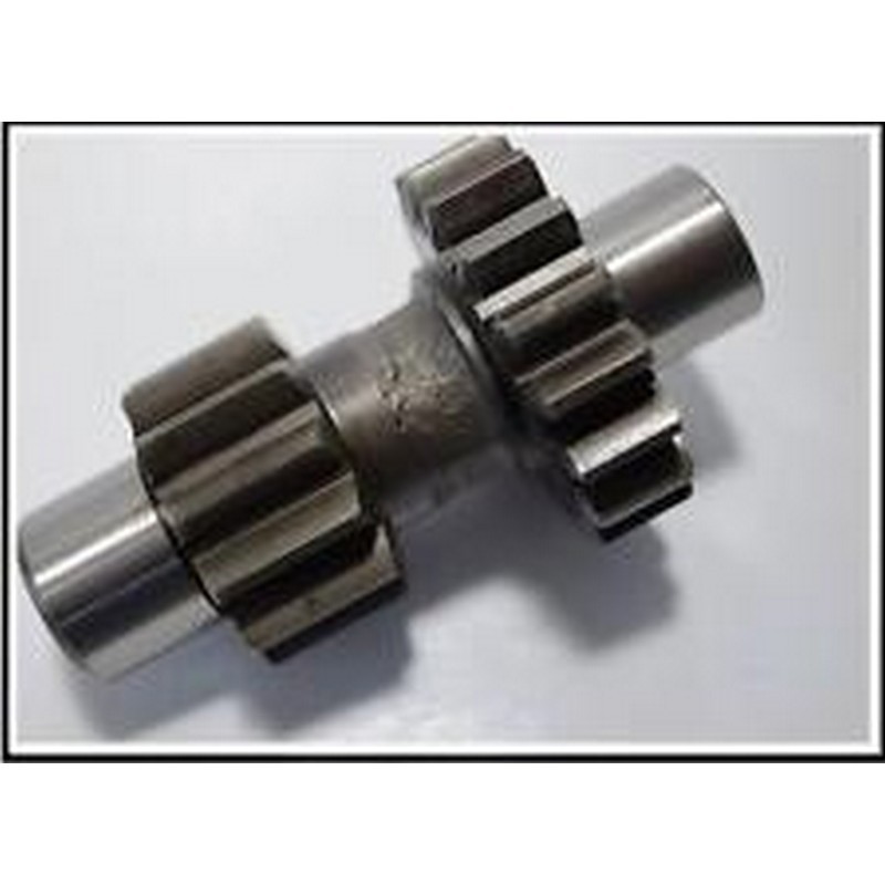 Ingranaggio fisso...