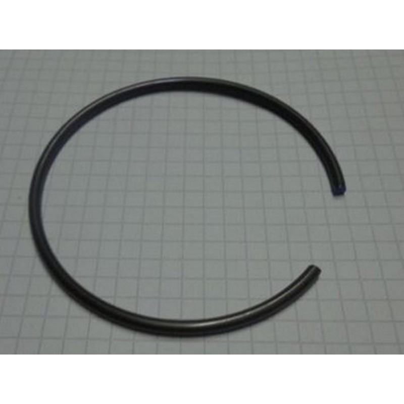 Anello ritegno piattello...