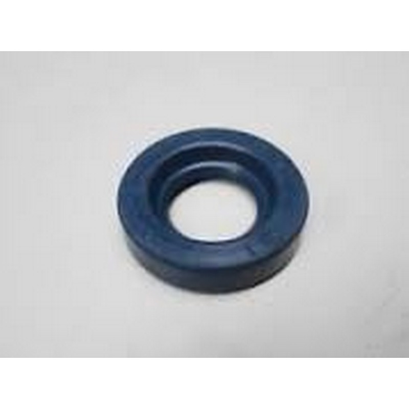 Paraolio Piaggio 20x32x7...