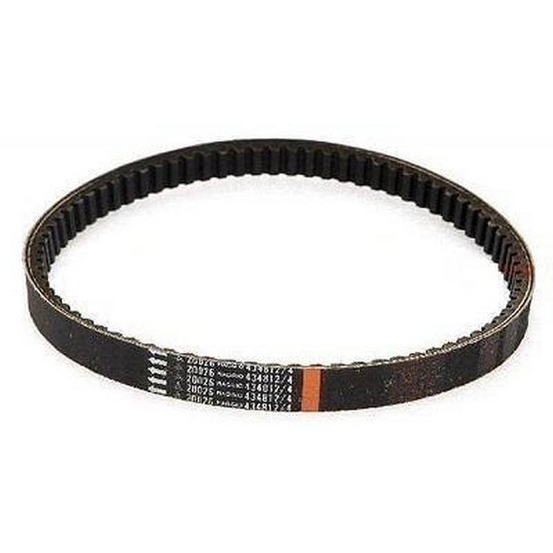 Cinghia trasmissione...