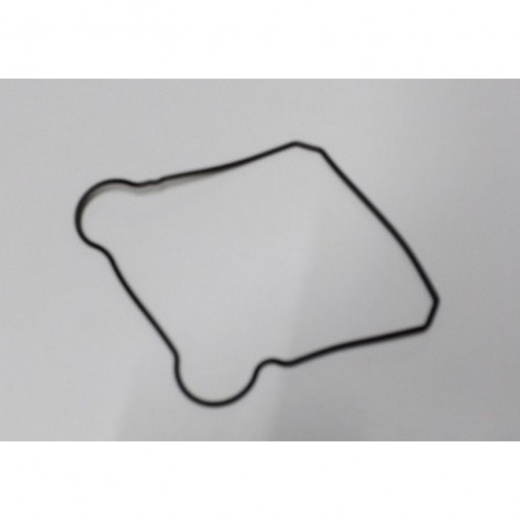 Guarnizione gommino...