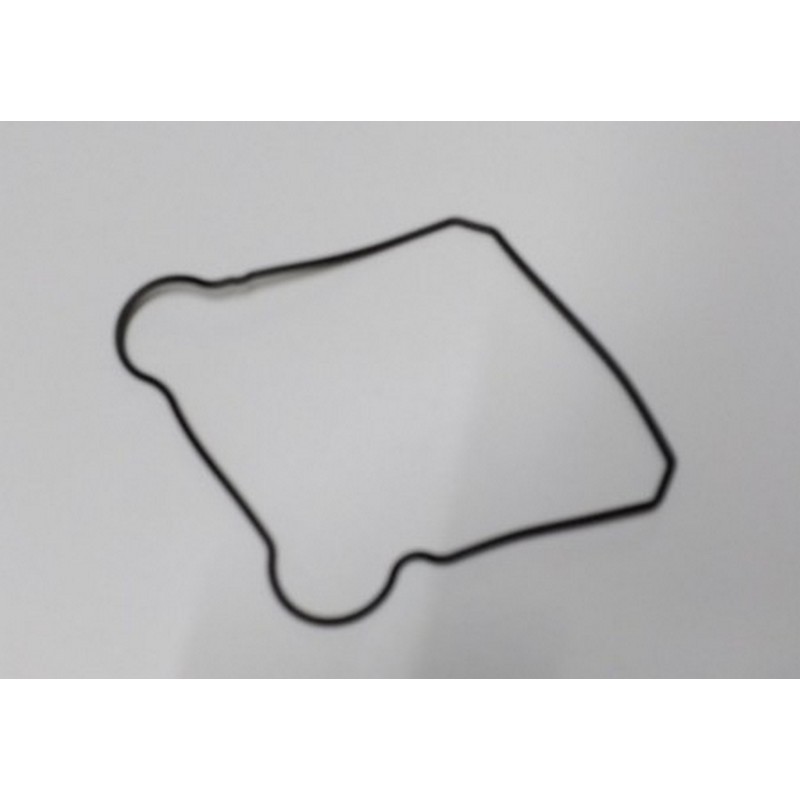 Guarnizione gommino...