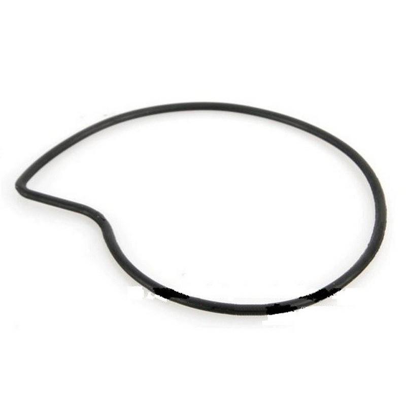 Guarnizione coperchio pompa...