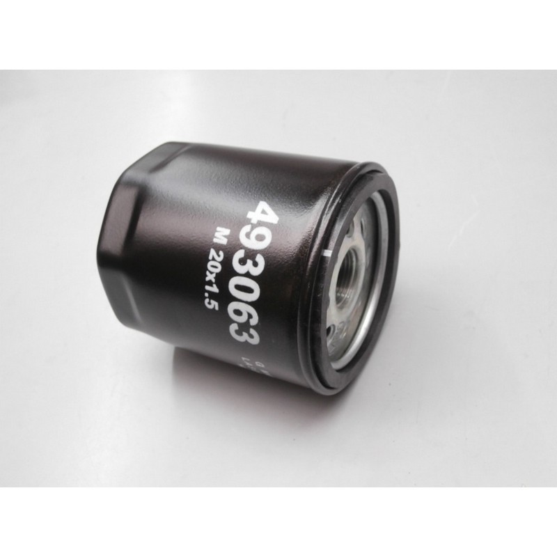 Filtro olio Piaggio Porter...