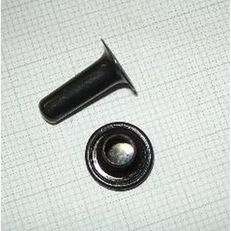 Rivetto Finestrino Vetro...