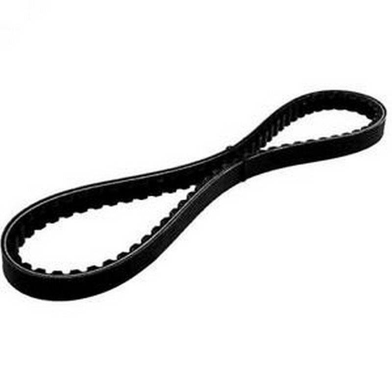 Cinghia trasmissione Bando...