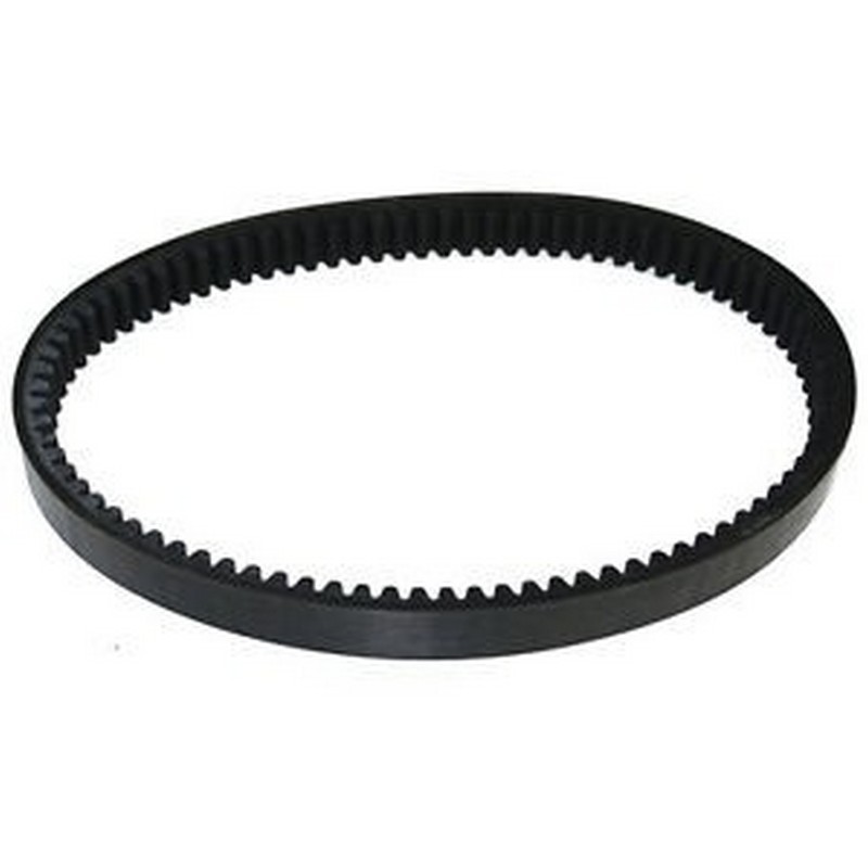 Cinghia trasmissione...