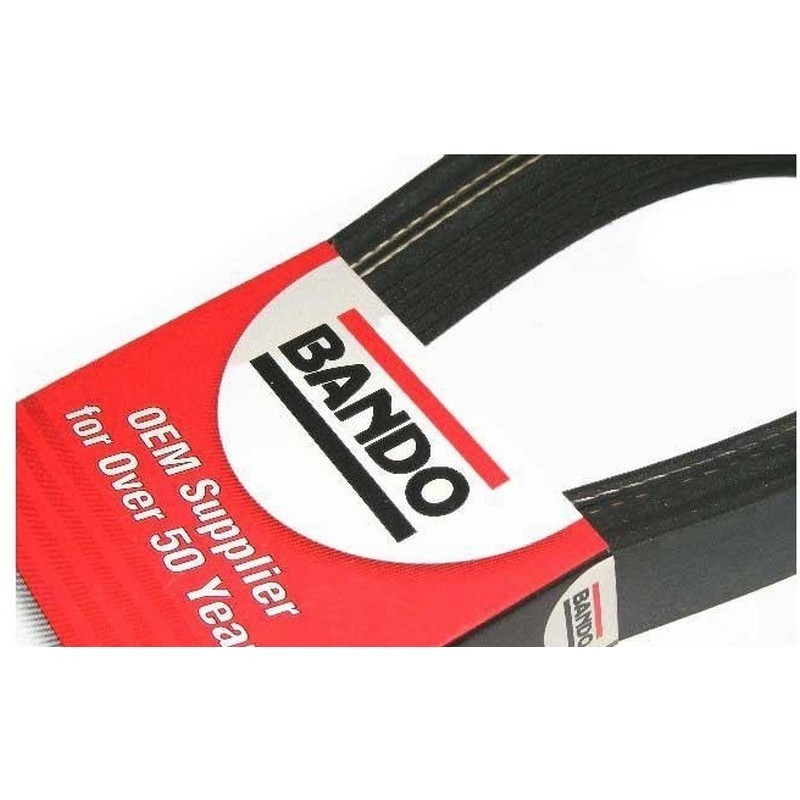 Cinghia trasmissione Bando...