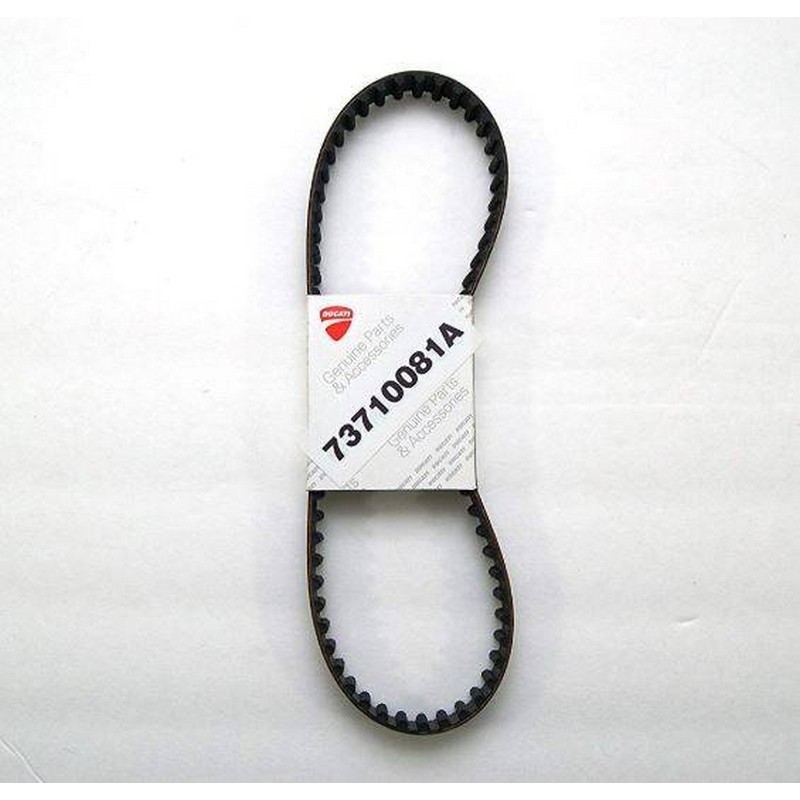 Cinghia distribuzione...