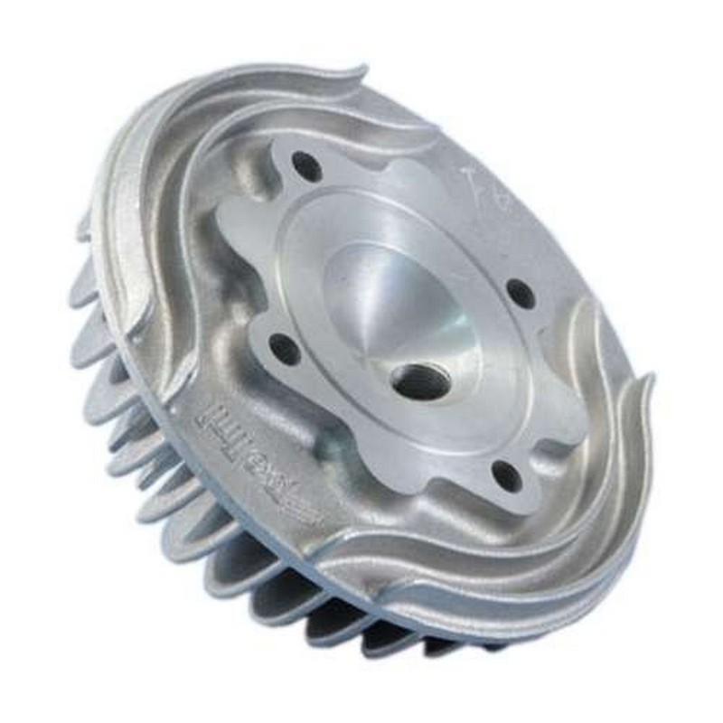 211.0319 POLINI Testa...