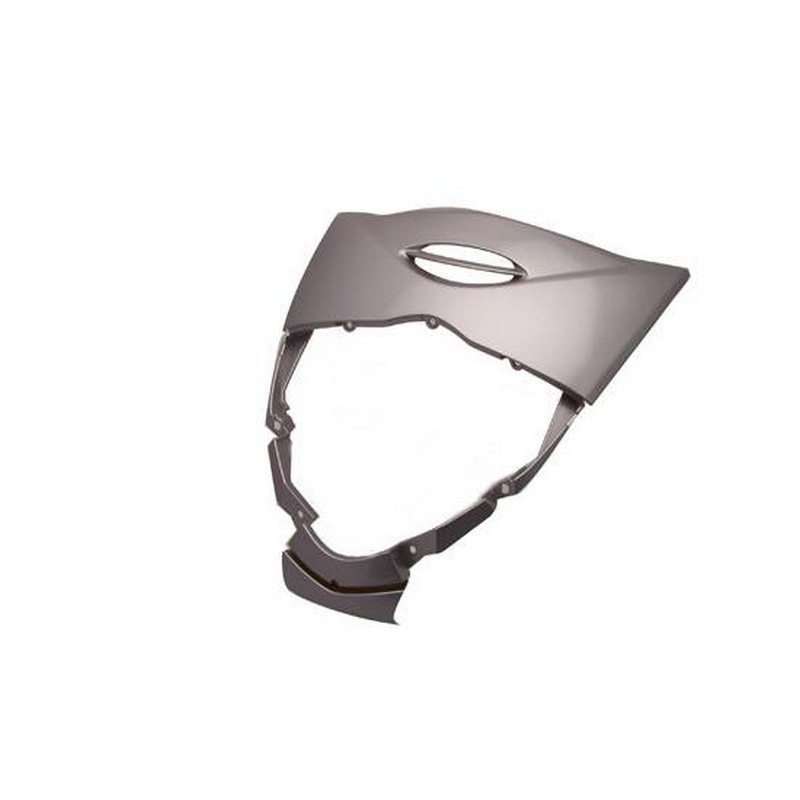 Scudo anteriore argento per...