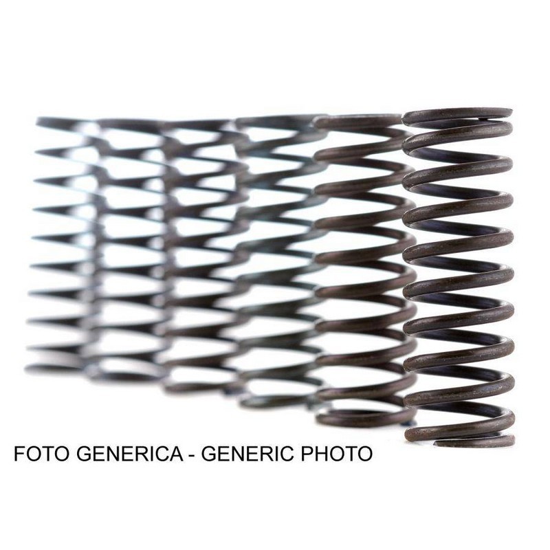 Kit Molle Frizione FSS0519