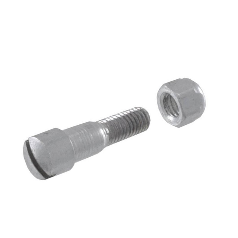 Vite e dado per leva freno...