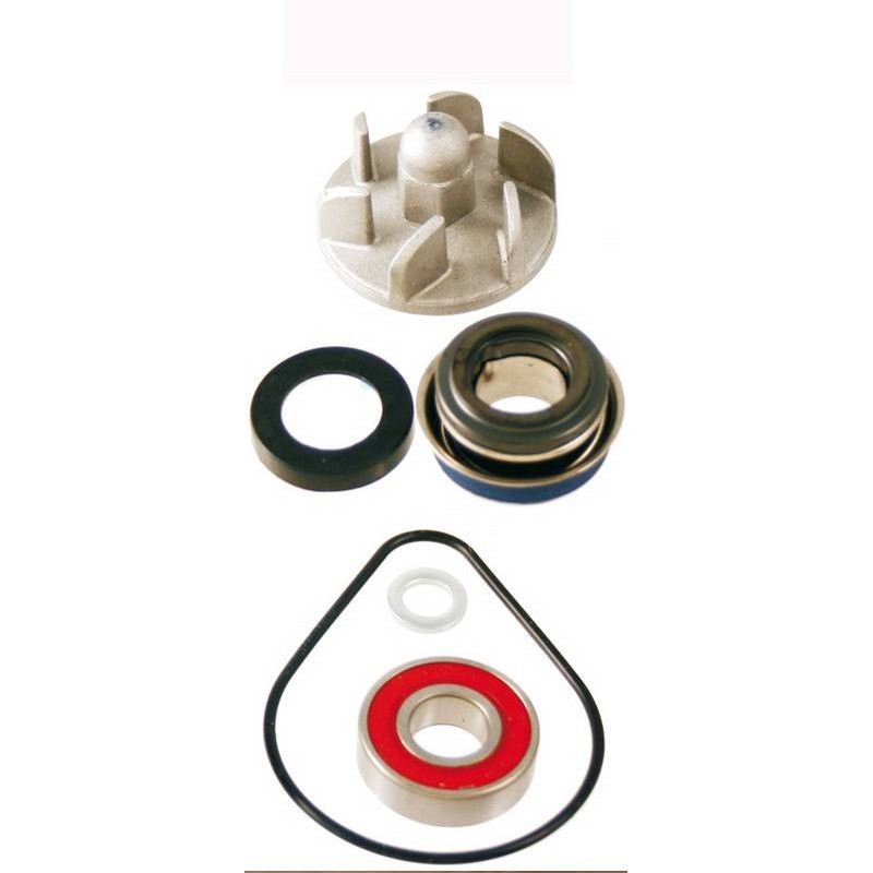 Kit revisione pompa acqua...