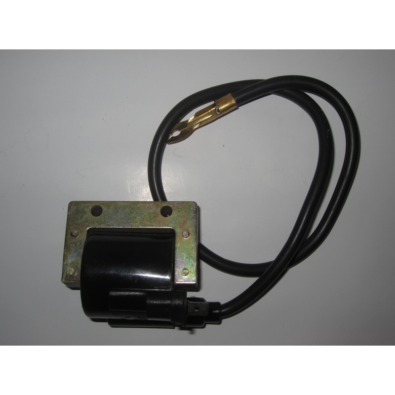 Bobina esterna Vespa...