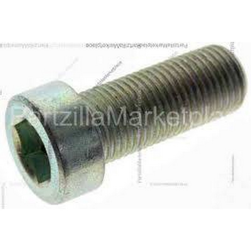 BULLONE A ESAGONO INCASSA...