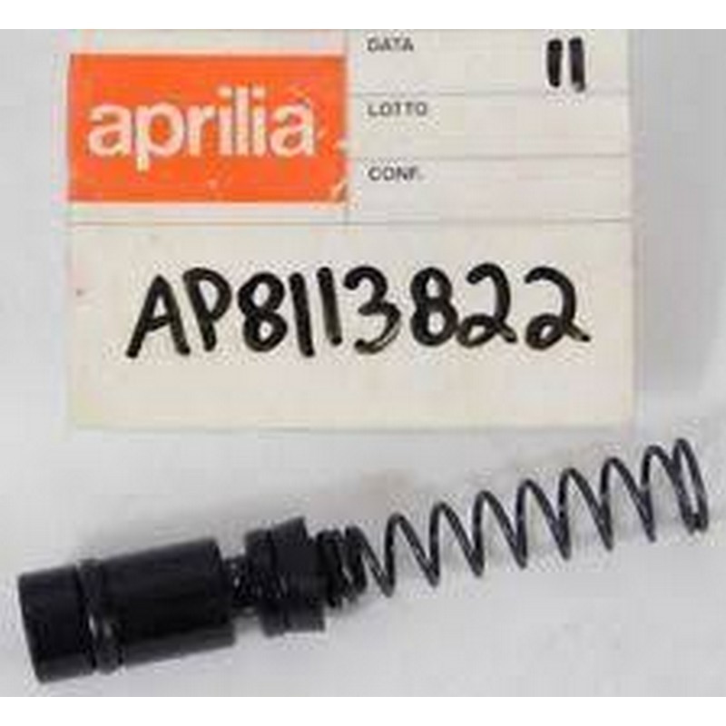 KIT REVISIONE POMPA POSTERIORE