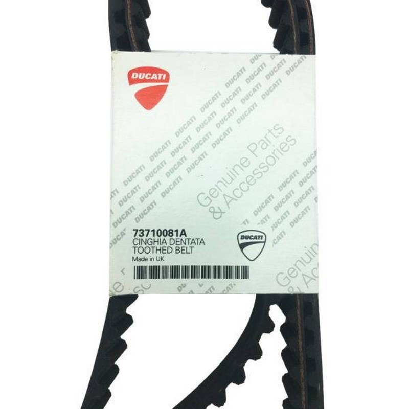 Coppia di 2 Cinghie...